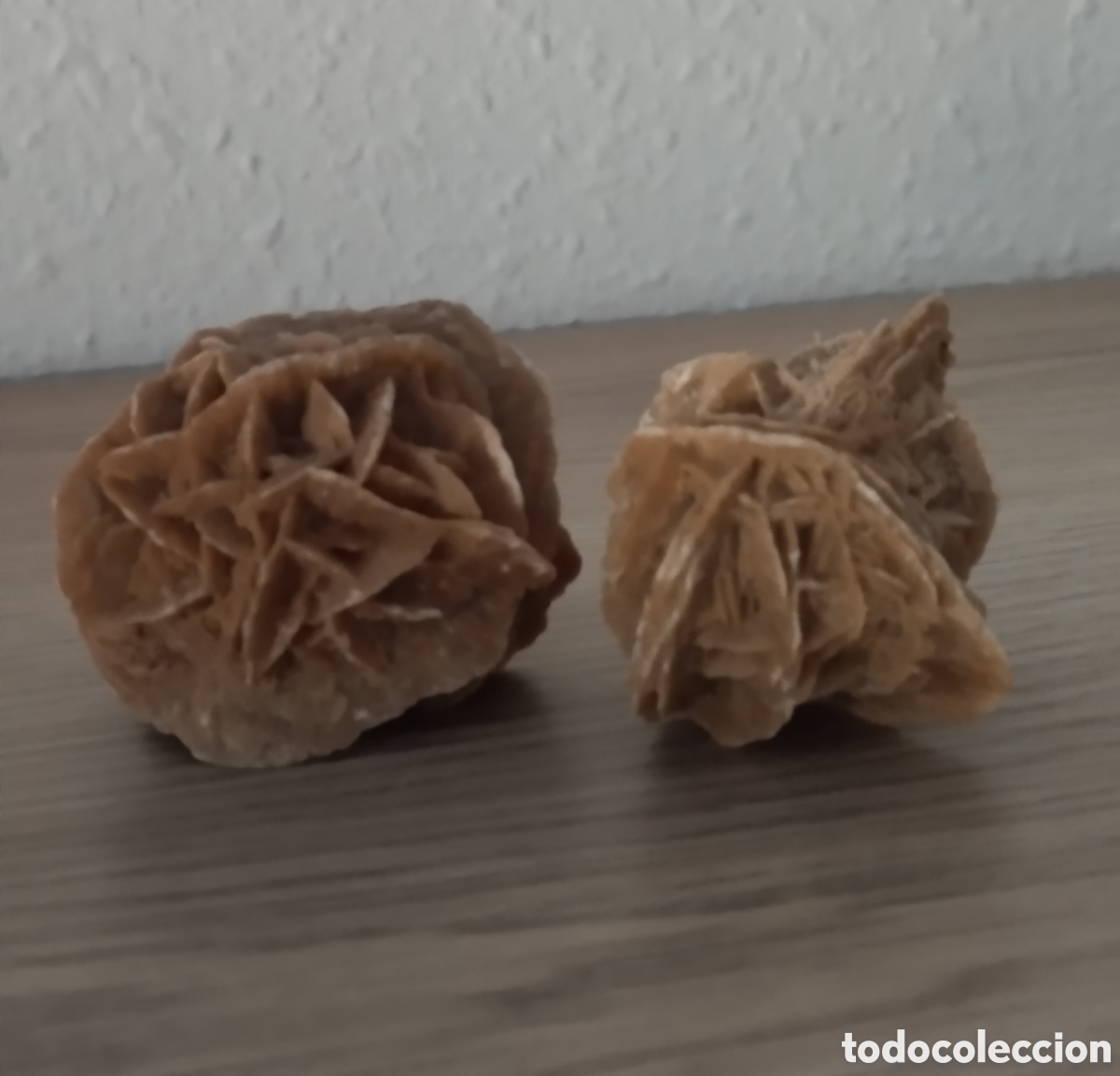 Collectionnisme de min&eacute;raux: Rosa del desierto de cristales lenticulares.