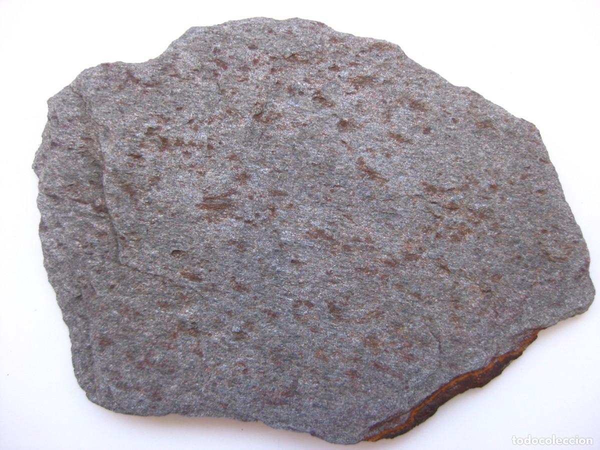 Coleccionismo de minerales: ROCA MICAESQUISTO MOTEADO - Foto 1