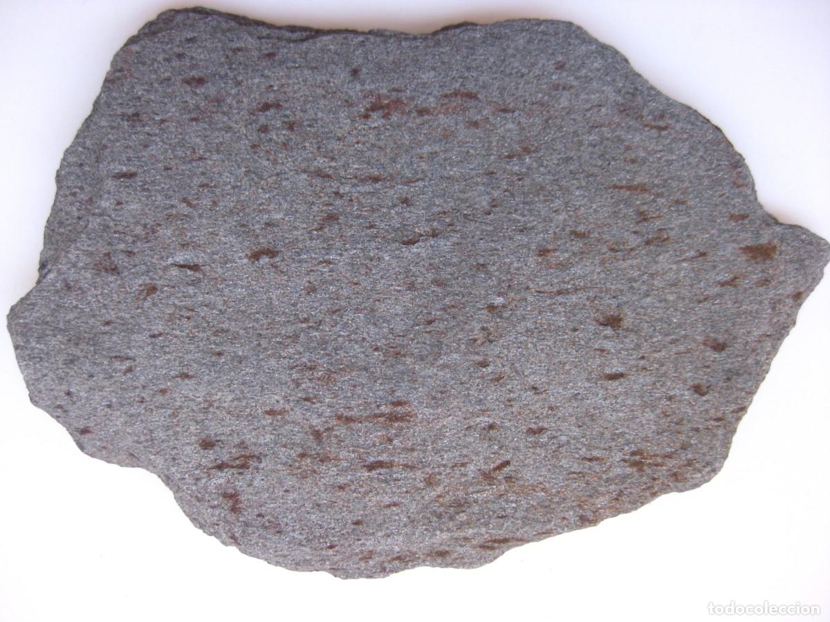 Coleccionismo de minerales: ROCA MICAESQUISTO MOTEADO - Foto 2
