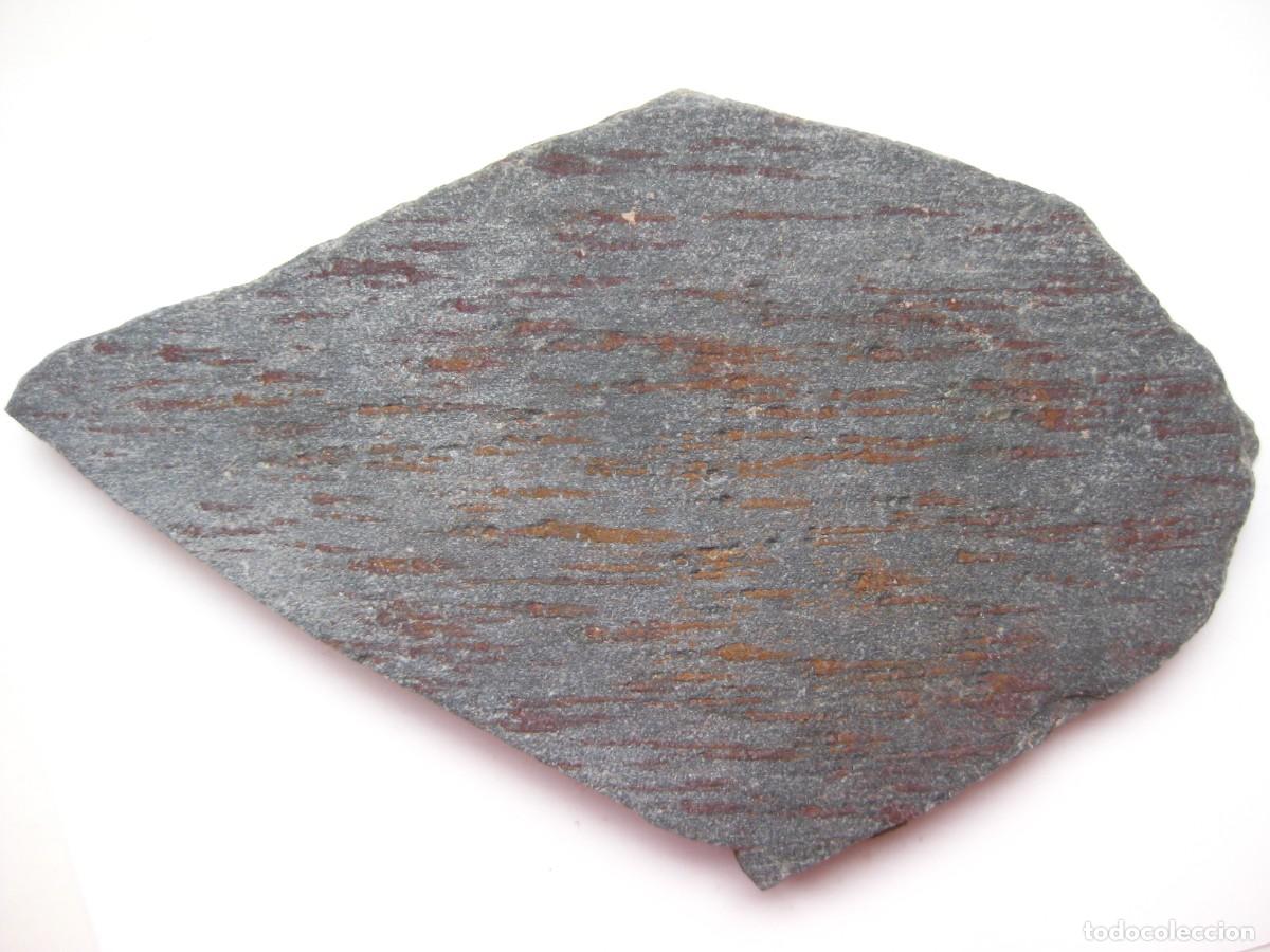 Coleccionismo de minerales: ROCA MICAESQUISTO MOTEADO - Foto 1