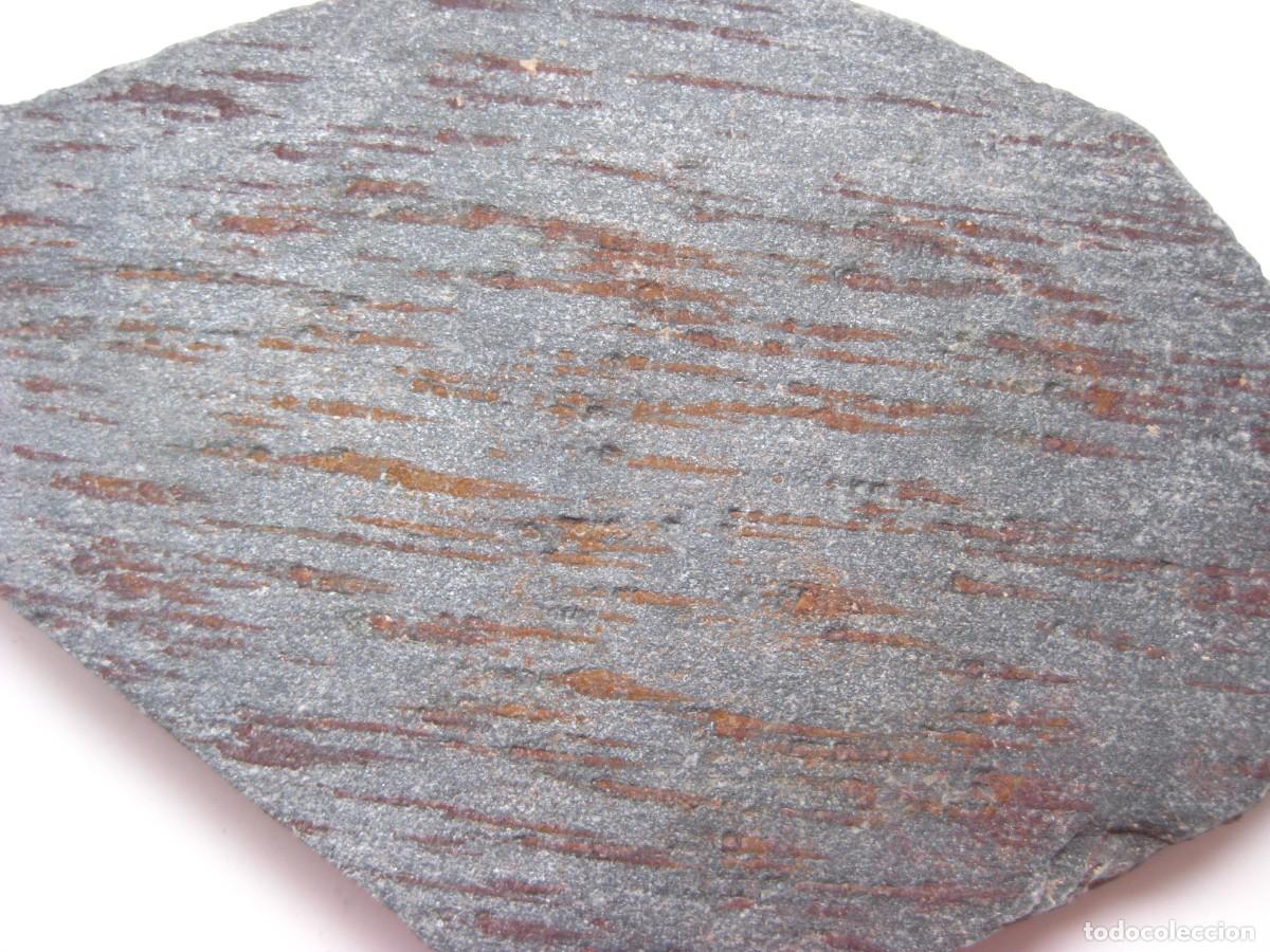 Coleccionismo de minerales: ROCA MICAESQUISTO MOTEADO - Foto 2