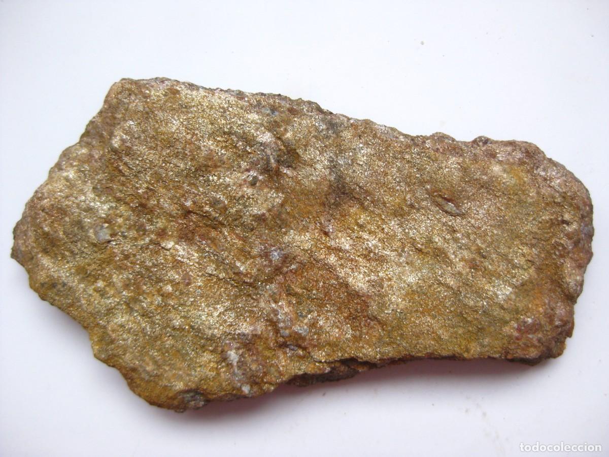 Coleccionismo de minerales: ROCA MICAESQUISTO (DORADO) - Foto 2