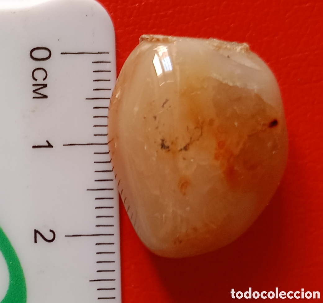 Coleccionismo de minerales: Cabuj&oacute;n de cornalina - 1,4 c 2,3 cm - Foto 2
