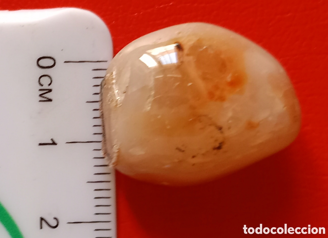 Coleccionismo de minerales: Cabuj&oacute;n de cornalina - 1,4 c 2,3 cm - Foto 1