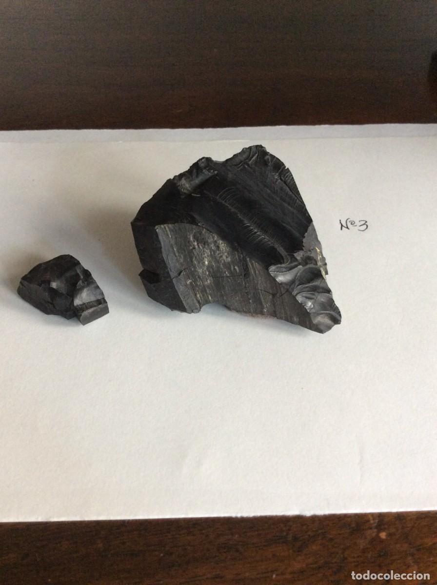 Coleccionismo de minerales: AZABACHE EN BRUTO n&ordm; 3 - Foto 1
