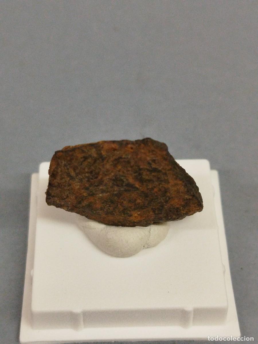 Coleccionismo de minerales: METEORITO . Bendege. - Foto 1