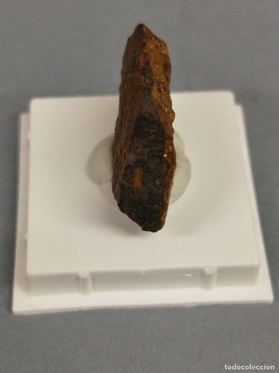 Coleccionismo de minerales: METEORITO . Bendege. - Foto 2