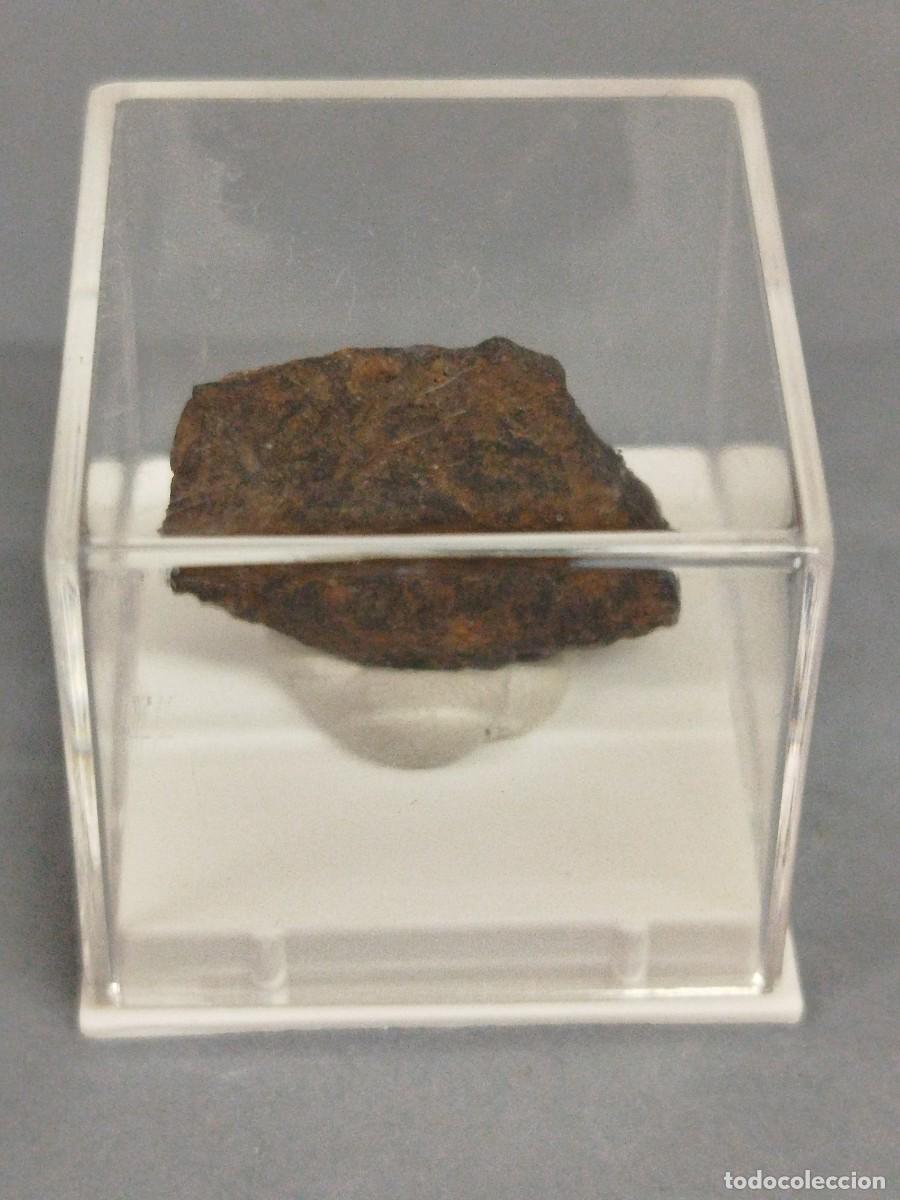 Coleccionismo de minerales: METEORITO . Bendege. - Foto 3