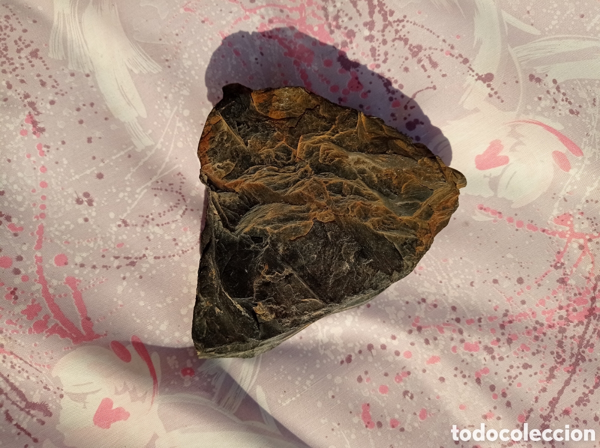 Coleccionismo de minerales: GRAN AZABACHE EN BRUTO 325 G - Foto 10