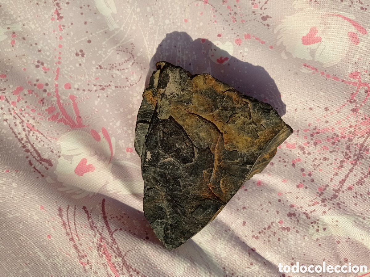 Coleccionismo de minerales: GRAN AZABACHE EN BRUTO 325 G - Foto 12