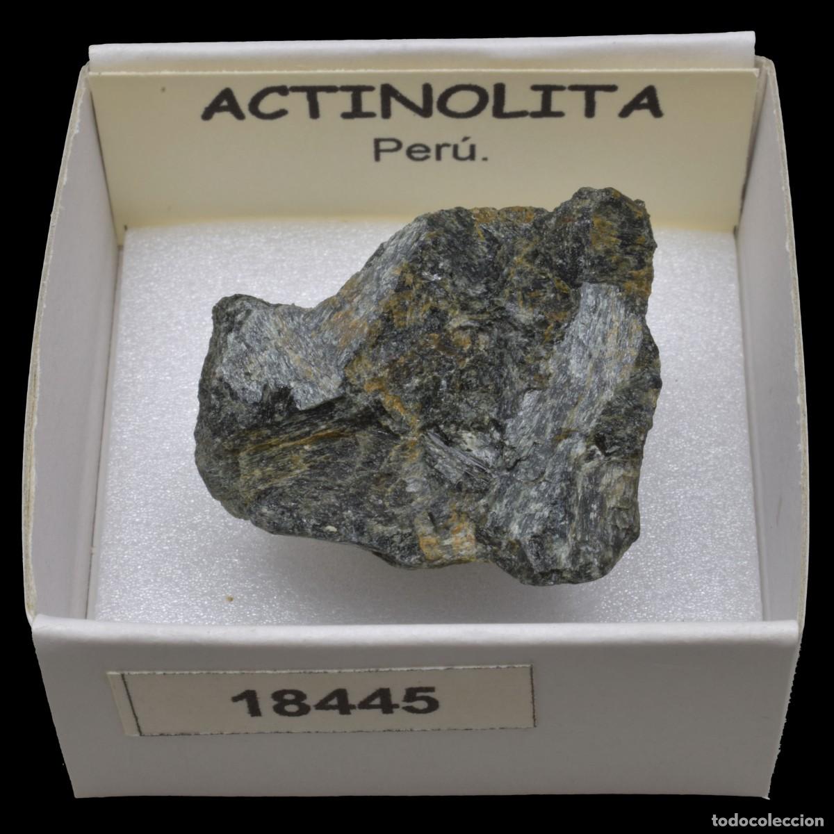 Coleccionismo de minerales: ACTINOLITA (Peru) #18445 - Foto 1