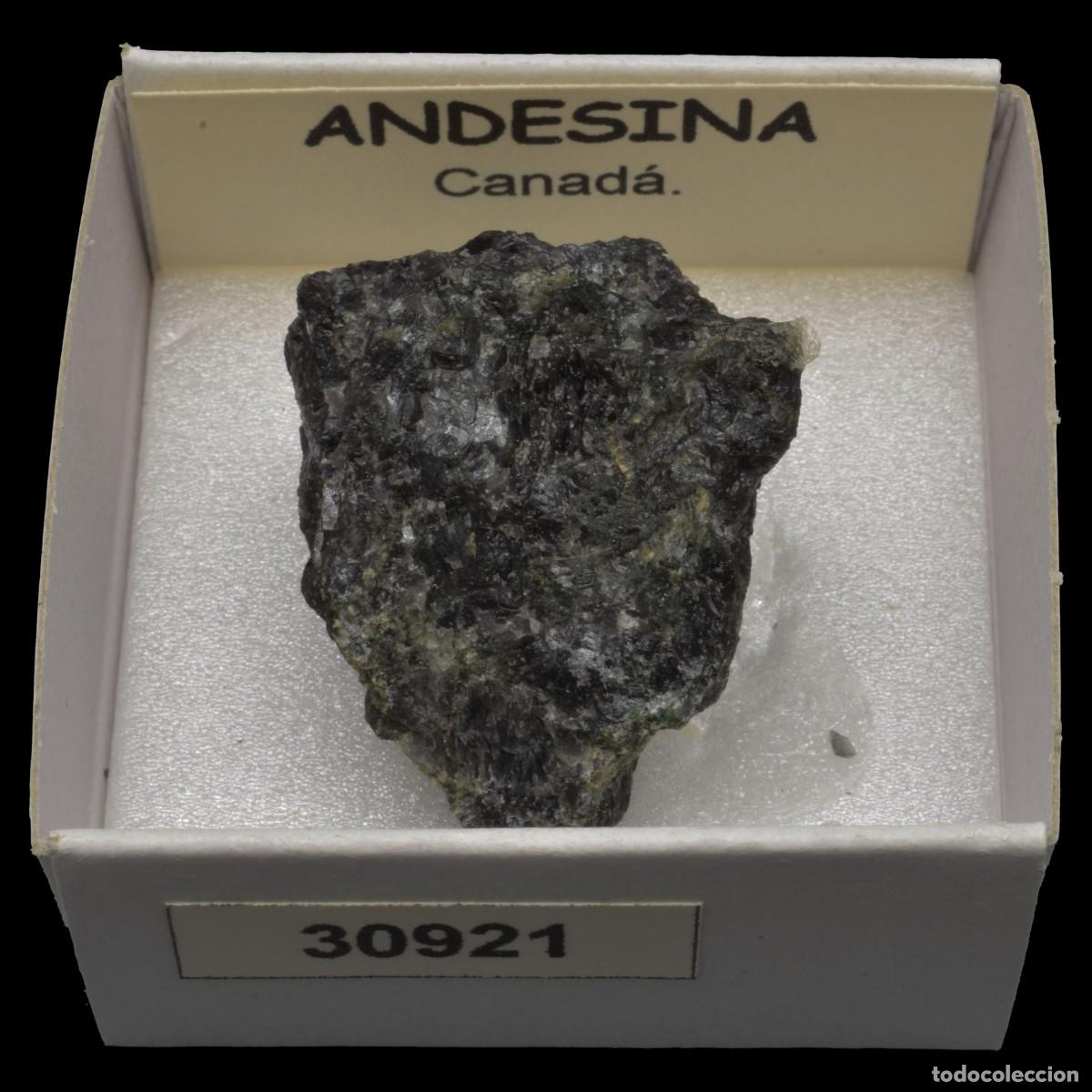 Coleccionismo de minerales: ANDESINA (Canada) #30921 - Foto 1