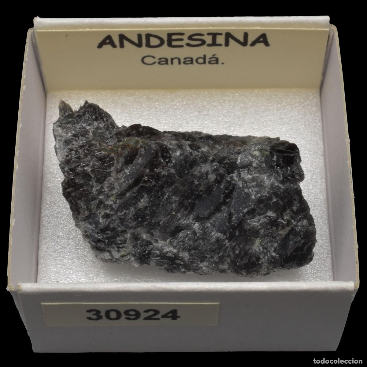 Coleccionismo de minerales: ANDESINA (Canada) #30924 - Foto 1