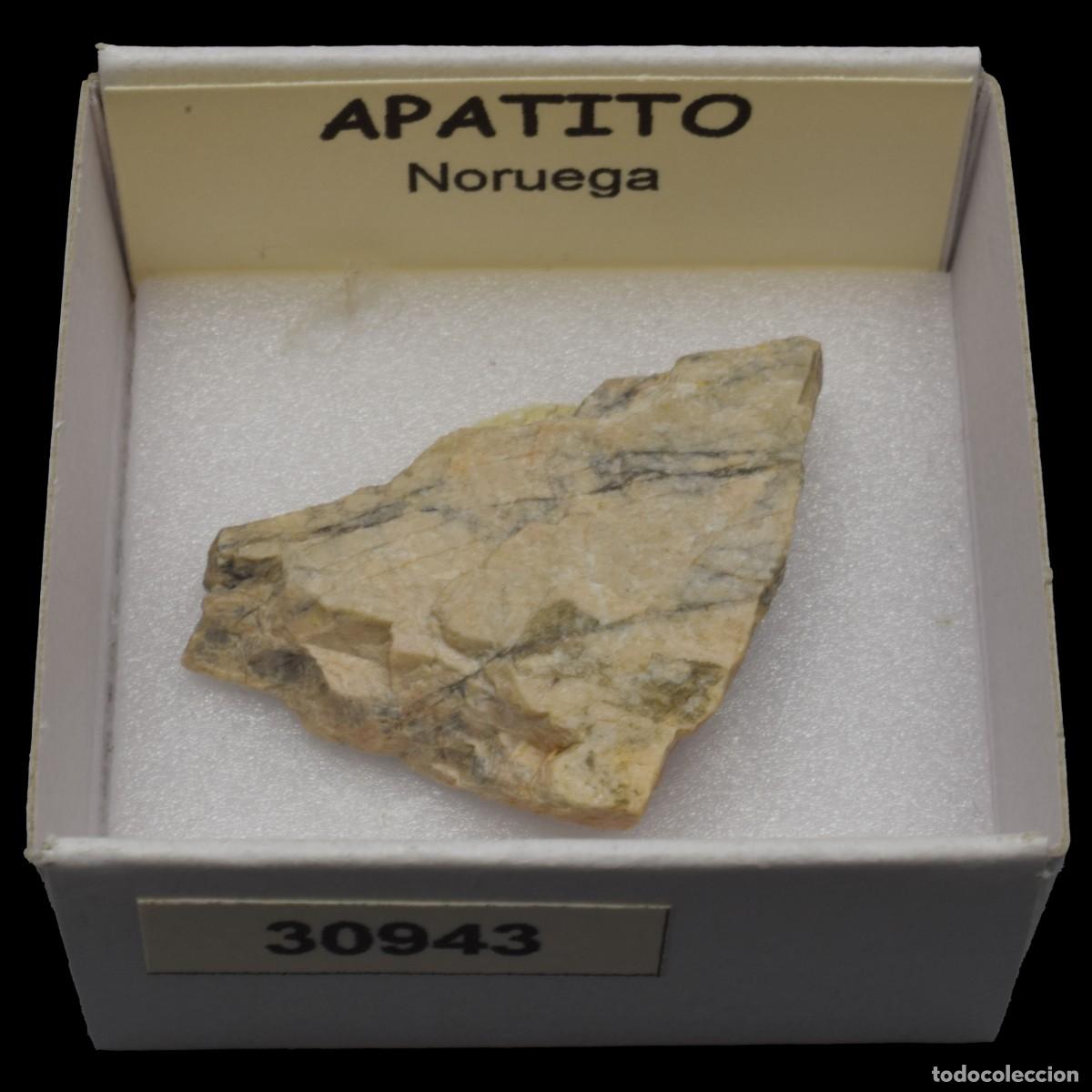 Coleccionismo de minerales: APATITO (Noruega) #30943 - Foto 1