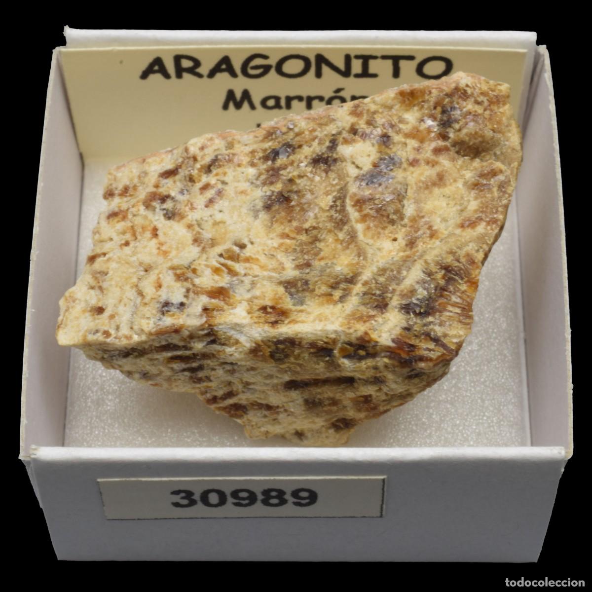 Coleccionismo de minerales: ARAGONITO marron (Peru) #30989 - Foto 1