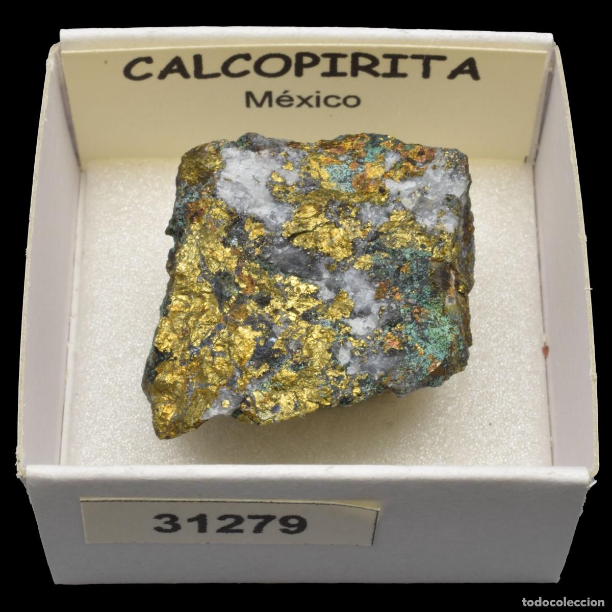 Coleccionismo de minerales: CALCOPIRITA (Mexico) #31279 - Foto 1