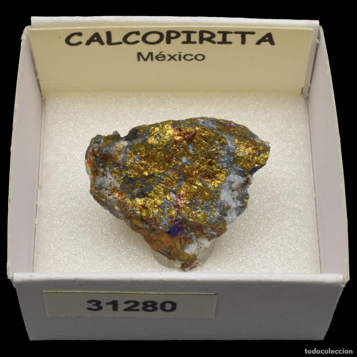 Coleccionismo de minerales: CALCOPIRITA (Mexico) #31280 - Foto 1