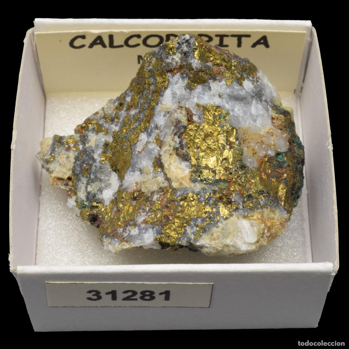 Coleccionismo de minerales: CALCOPIRITA (Mexico) #31281 - Foto 1