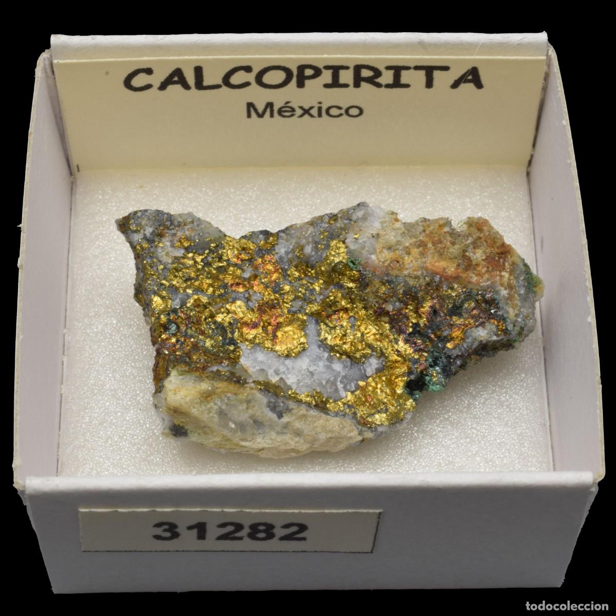 Coleccionismo de minerales: CALCOPIRITA (Mexico) #31282 - Foto 1
