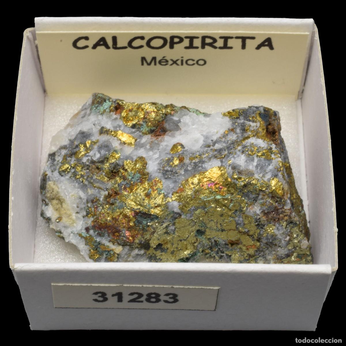 Coleccionismo de minerales: CALCOPIRITA (Mexico) #31283 - Foto 1