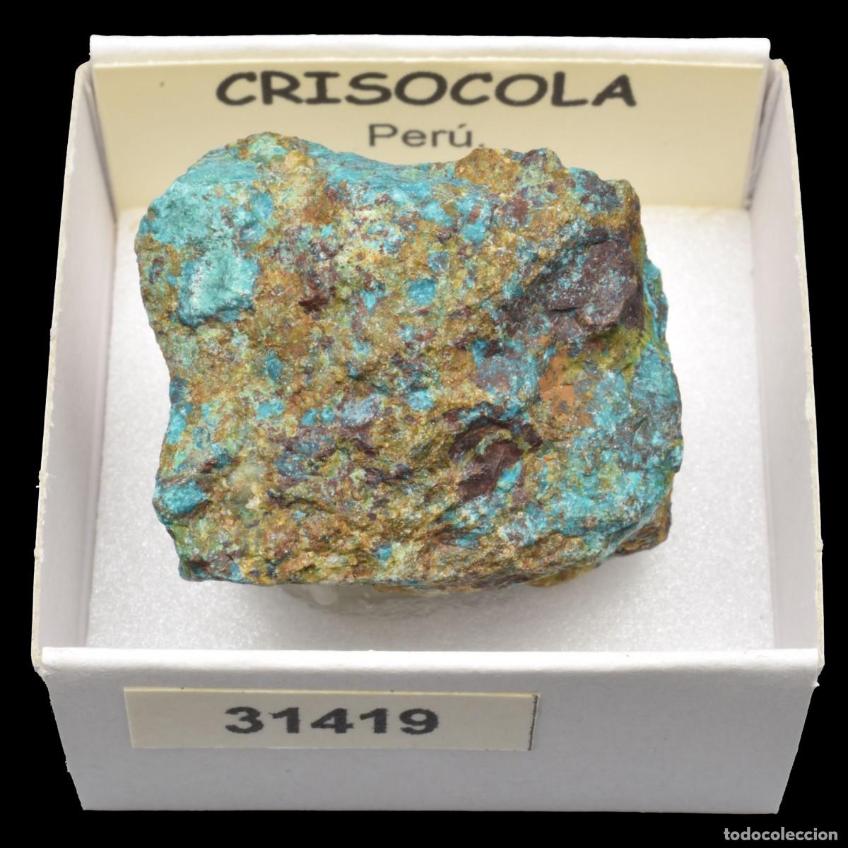Coleccionismo de minerales: CRISOCOLA (Peru) #31419 - Foto 1