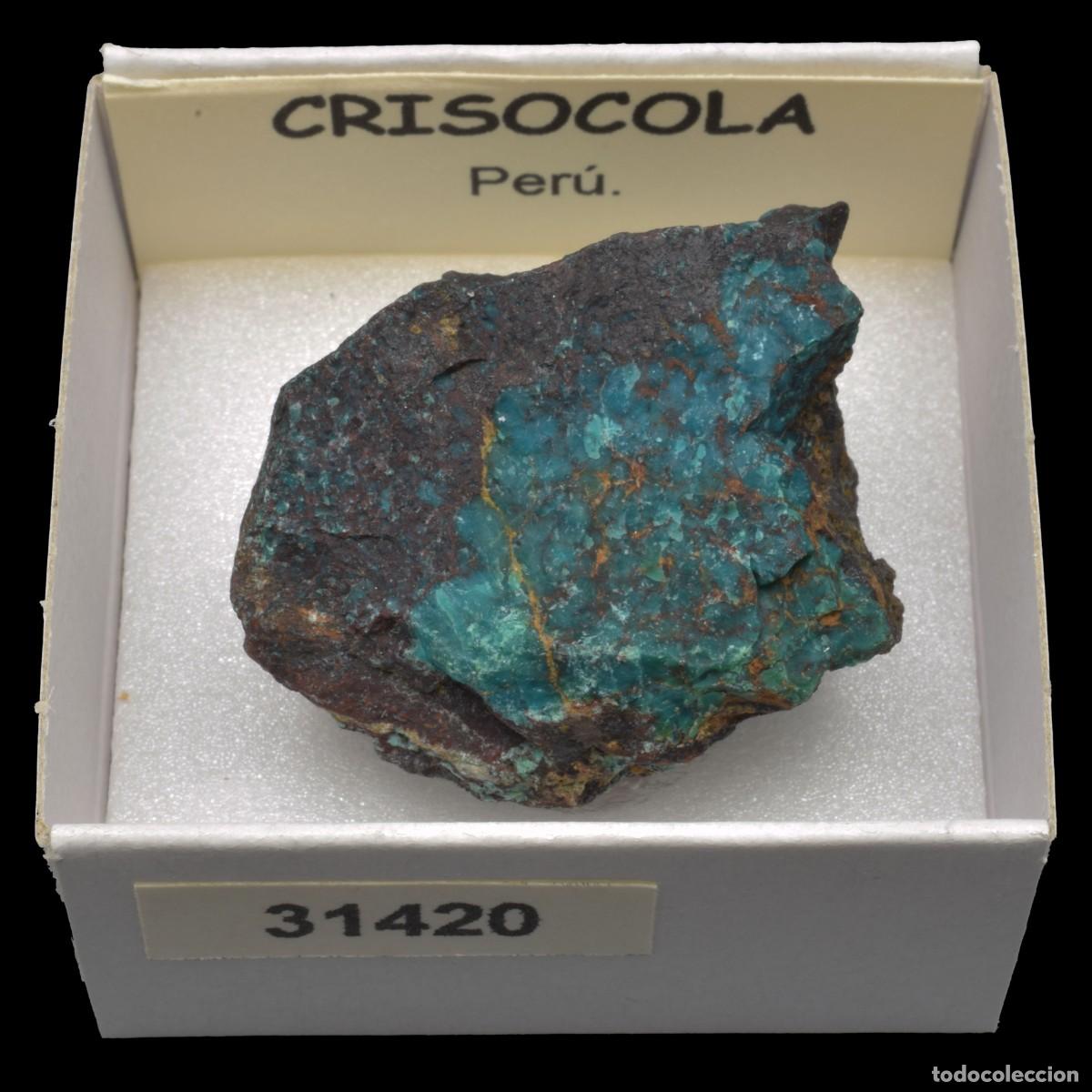 Coleccionismo de minerales: CRISOCOLA (Peru) #31420 - Foto 1