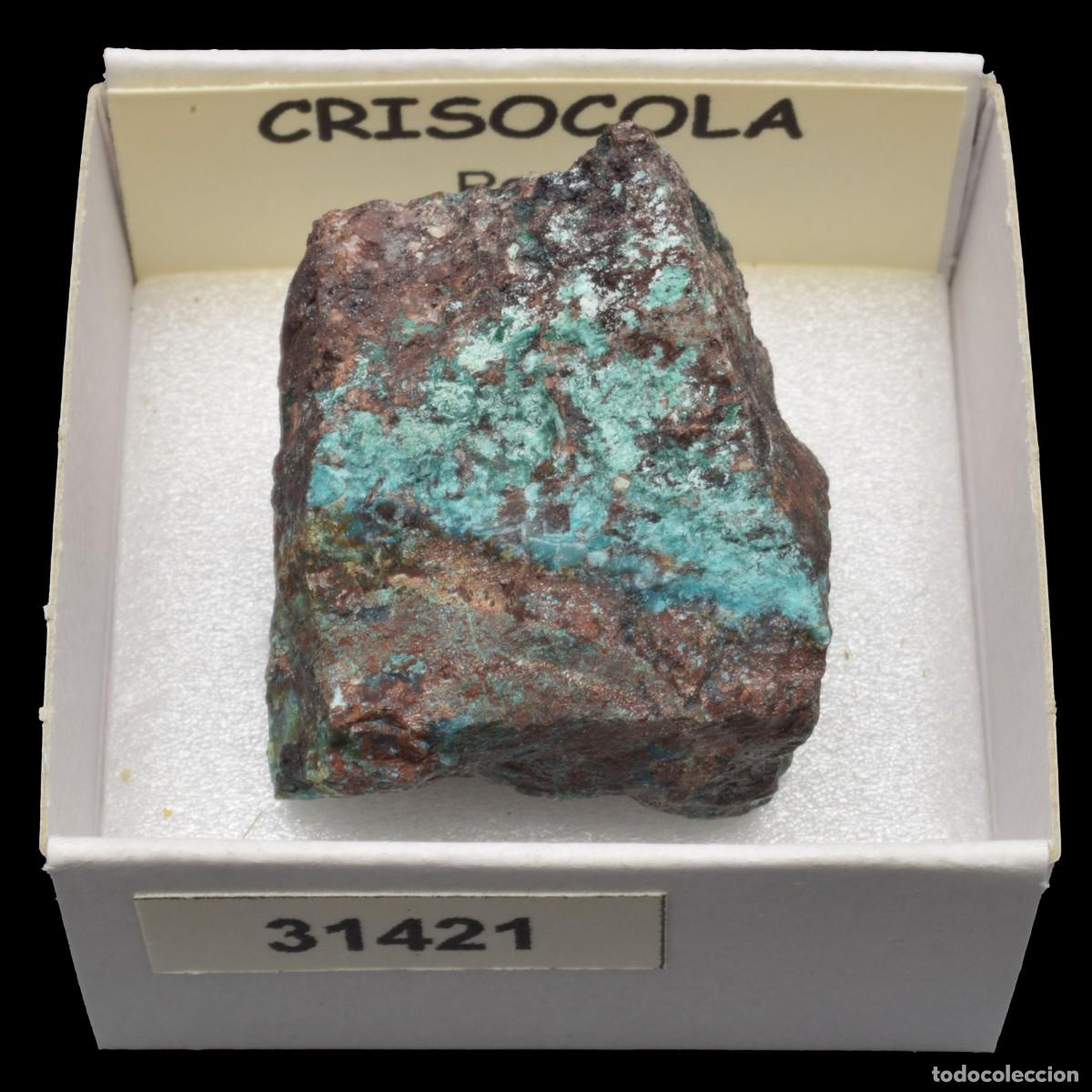 Coleccionismo de minerales: CRISOCOLA (Peru) #31421 - Foto 1