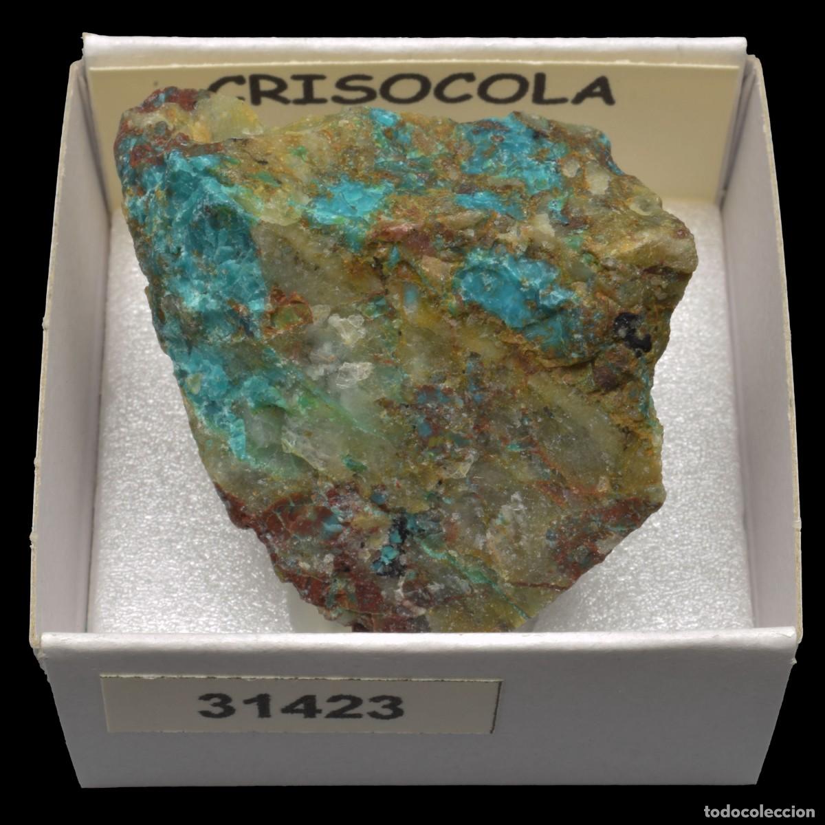 Coleccionismo de minerales: CRISOCOLA (Peru) #31423 - Foto 1