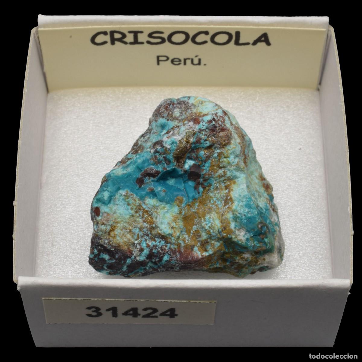 Coleccionismo de minerales: CRISOCOLA (Peru) #31424 - Foto 1