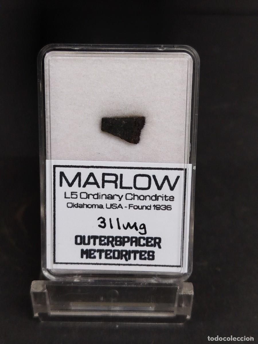 Coleccionismo de minerales: MARLOW . Meteorito .USA - Foto 1