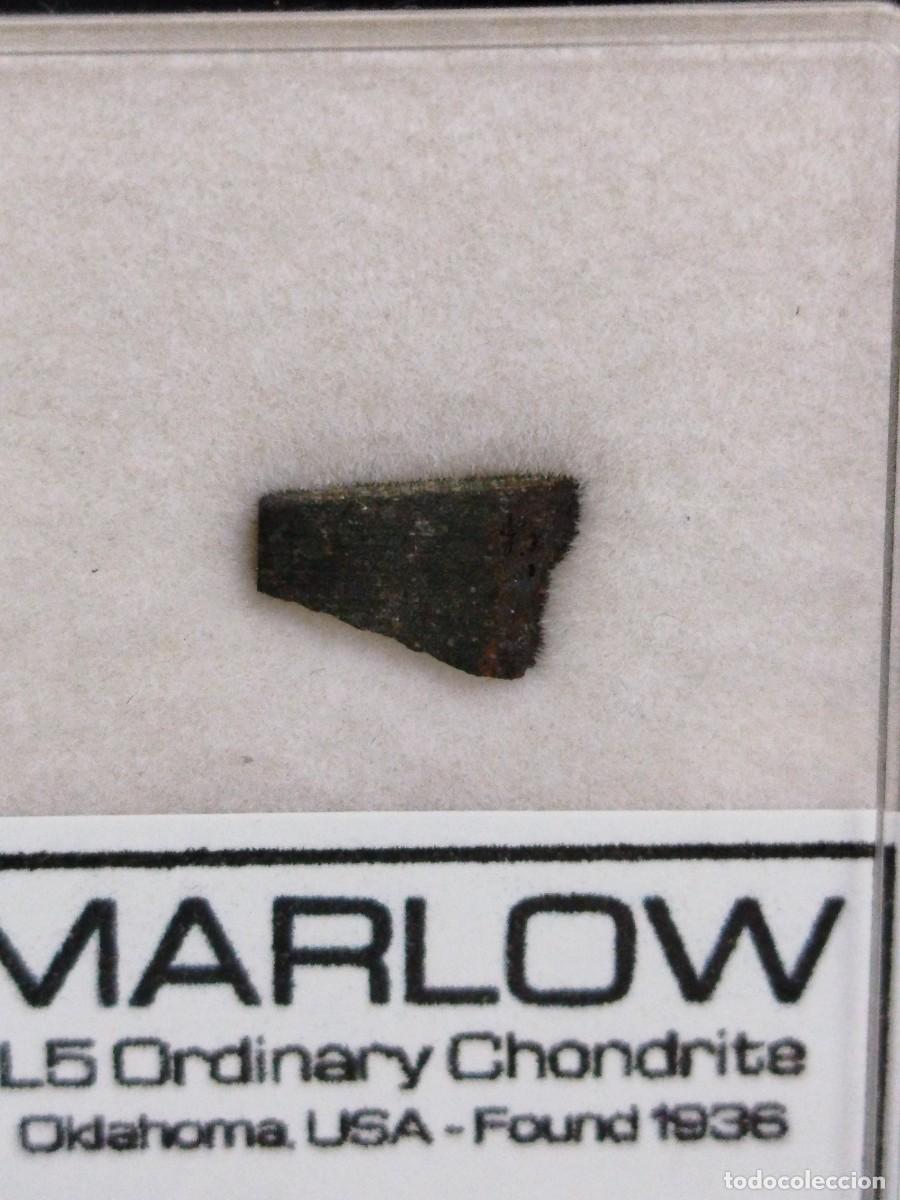 Coleccionismo de minerales: MARLOW . Meteorito .USA - Foto 2