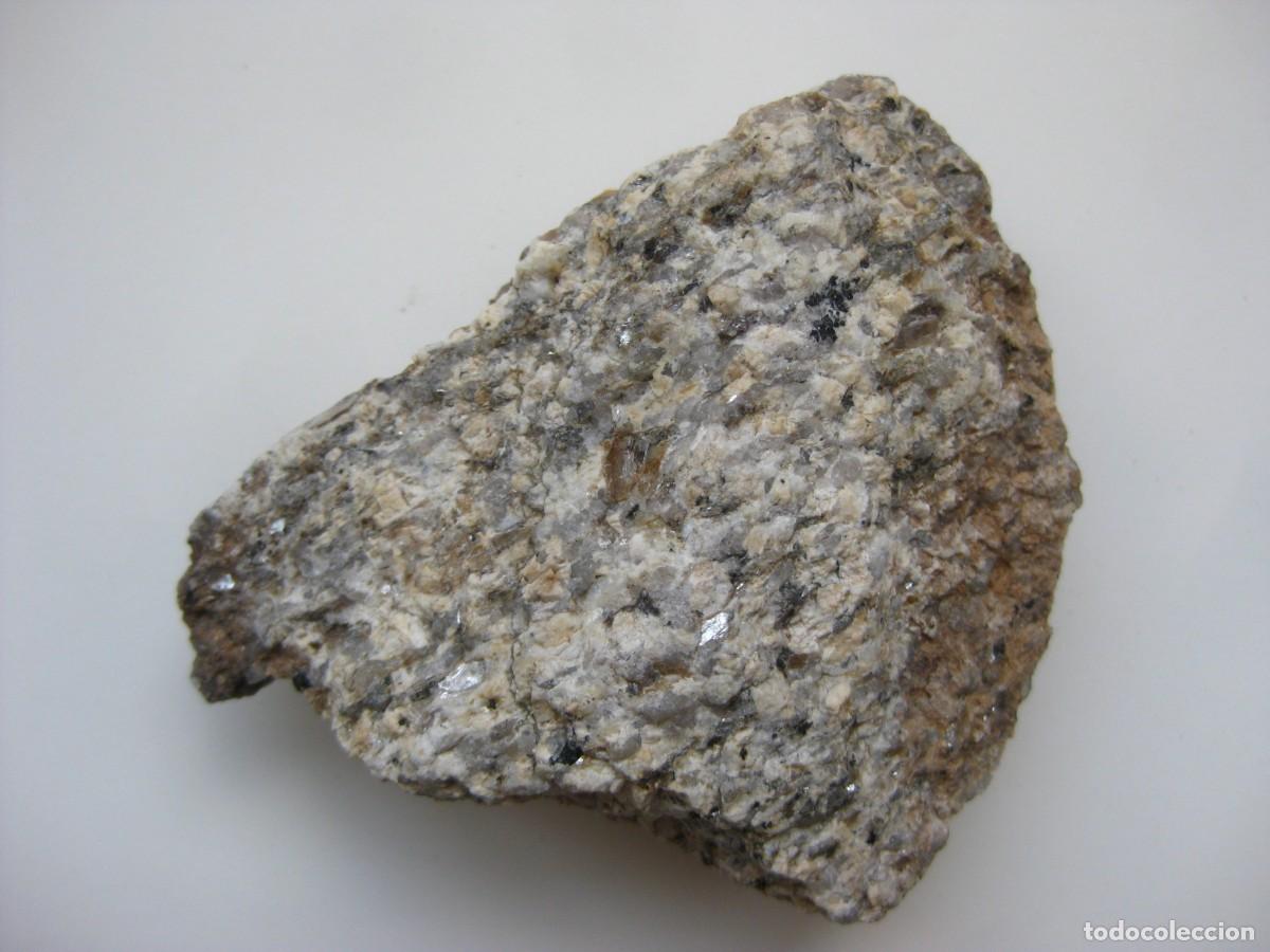 Coleccionismo de minerales: ROCA GRANITO CATACLASTICO DE DOS MICAS - Foto 1