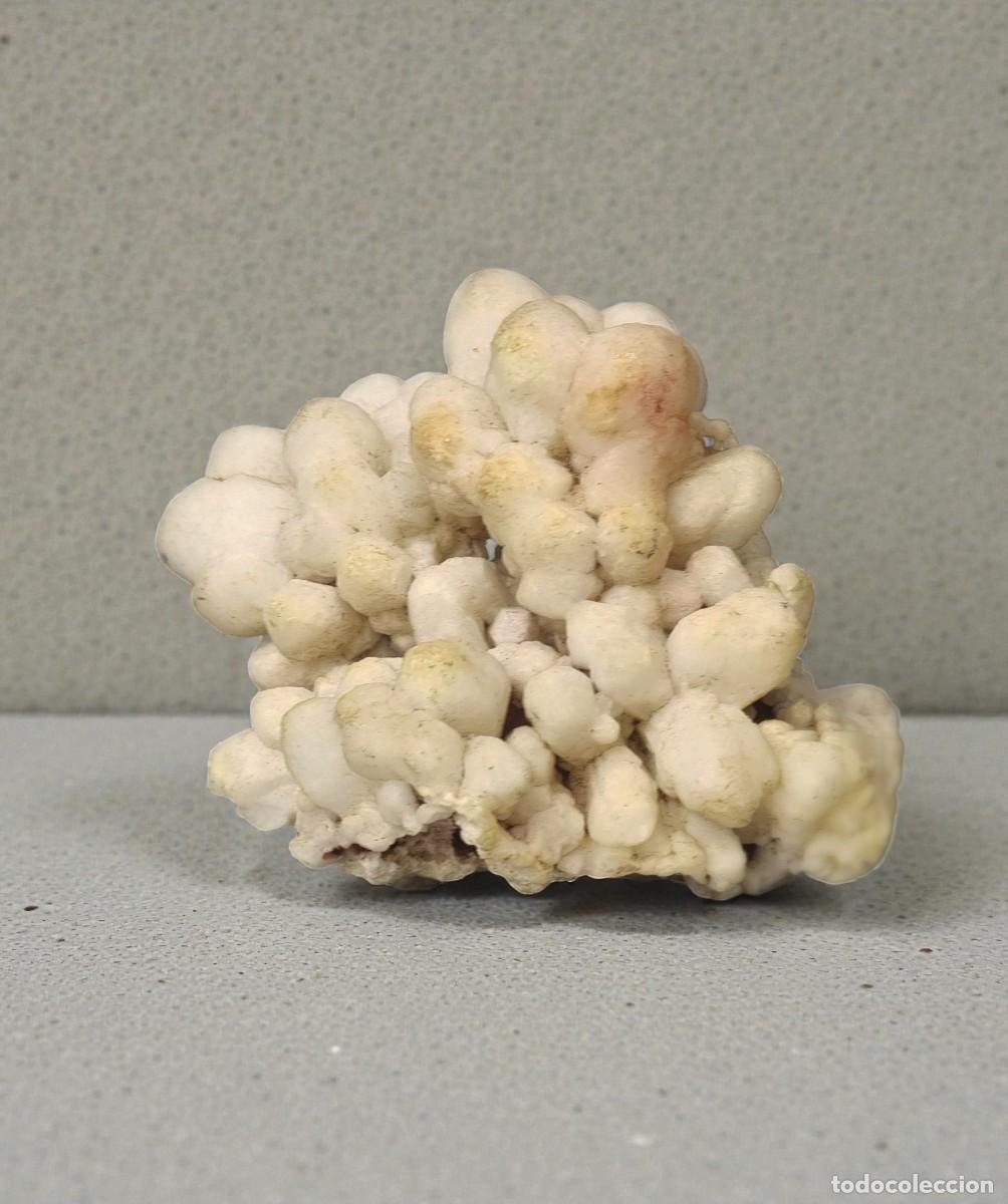 Coleccionismo de minerales: Calcedonia Botroidal de India - Foto 1