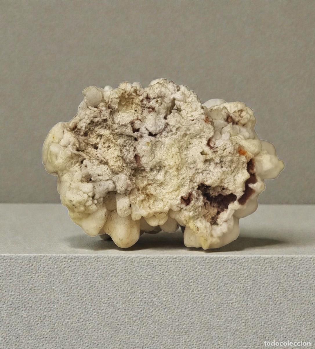 Coleccionismo de minerales: Calcedonia Botroidal de India - Foto 5