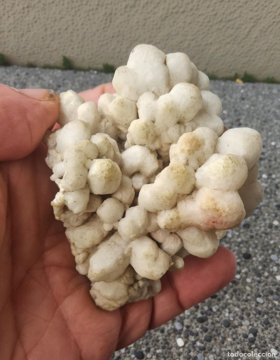 Coleccionismo de minerales: Calcedonia Botroidal de India - Foto 6