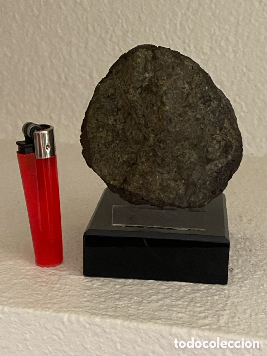 Coleccionismo de minerales: Bonita pieza con expositor de madera