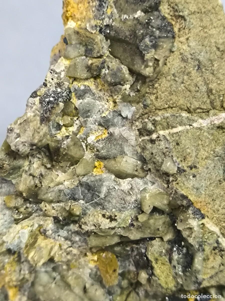 Coleccionismo de minerales: CUARZO PRASIO+HEMATITES - MINERAL. Lleida - Foto 3