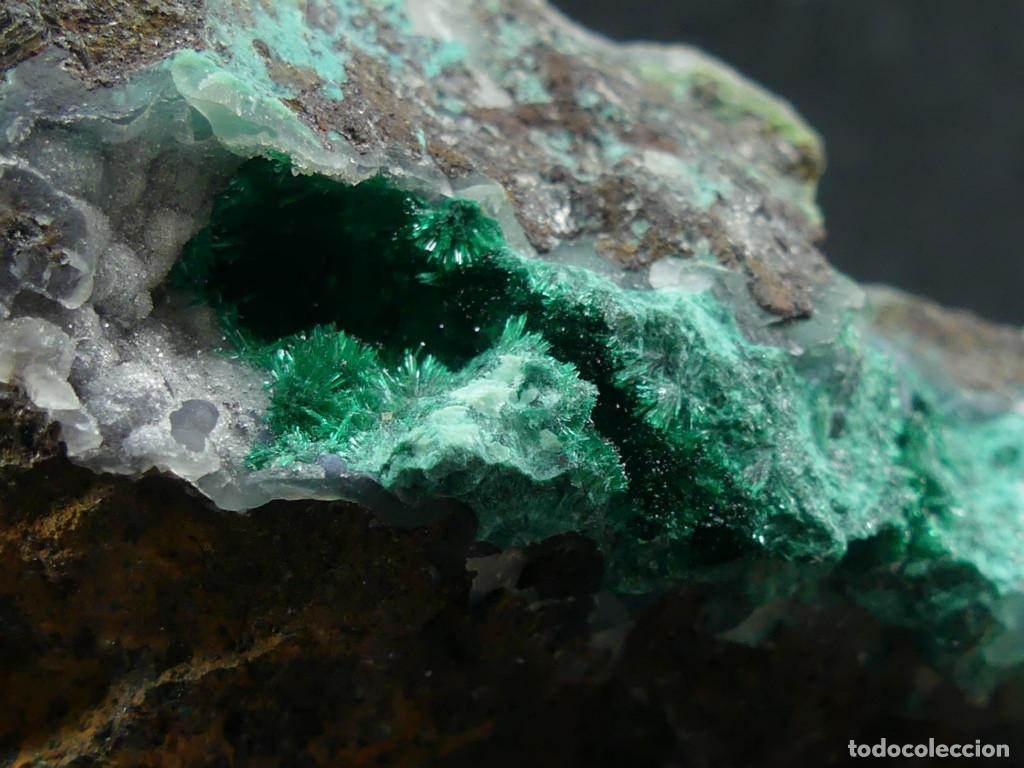 Coleccionismo de minerales: Atacamita y calcedonia, Per&uacute;