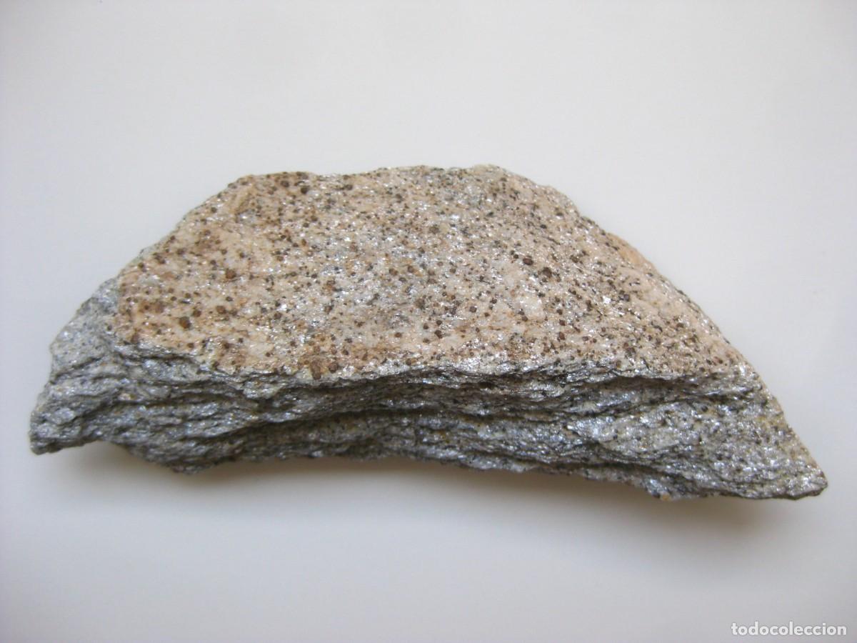 Coleccionismo de minerales: ROCA MICAESQUISTO CON GRANATES