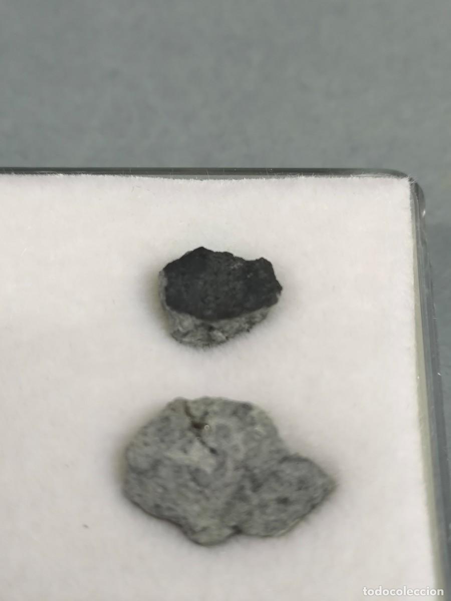 Coleccionismo de minerales: KHENEG LJOUAD - Meteorito - Foto 2