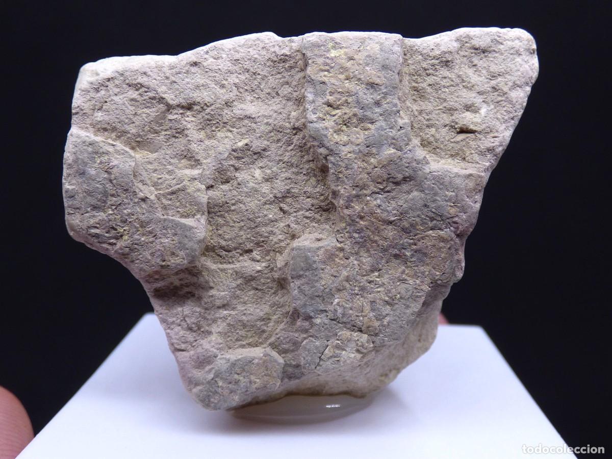 Coleccionismo de minerales: ✅FDMINERALS✅ ⚒️ AUTUNITA ⚒️ &Aacute;rea de Mount Spokane, Spokane, Washington, EE.UU - er101