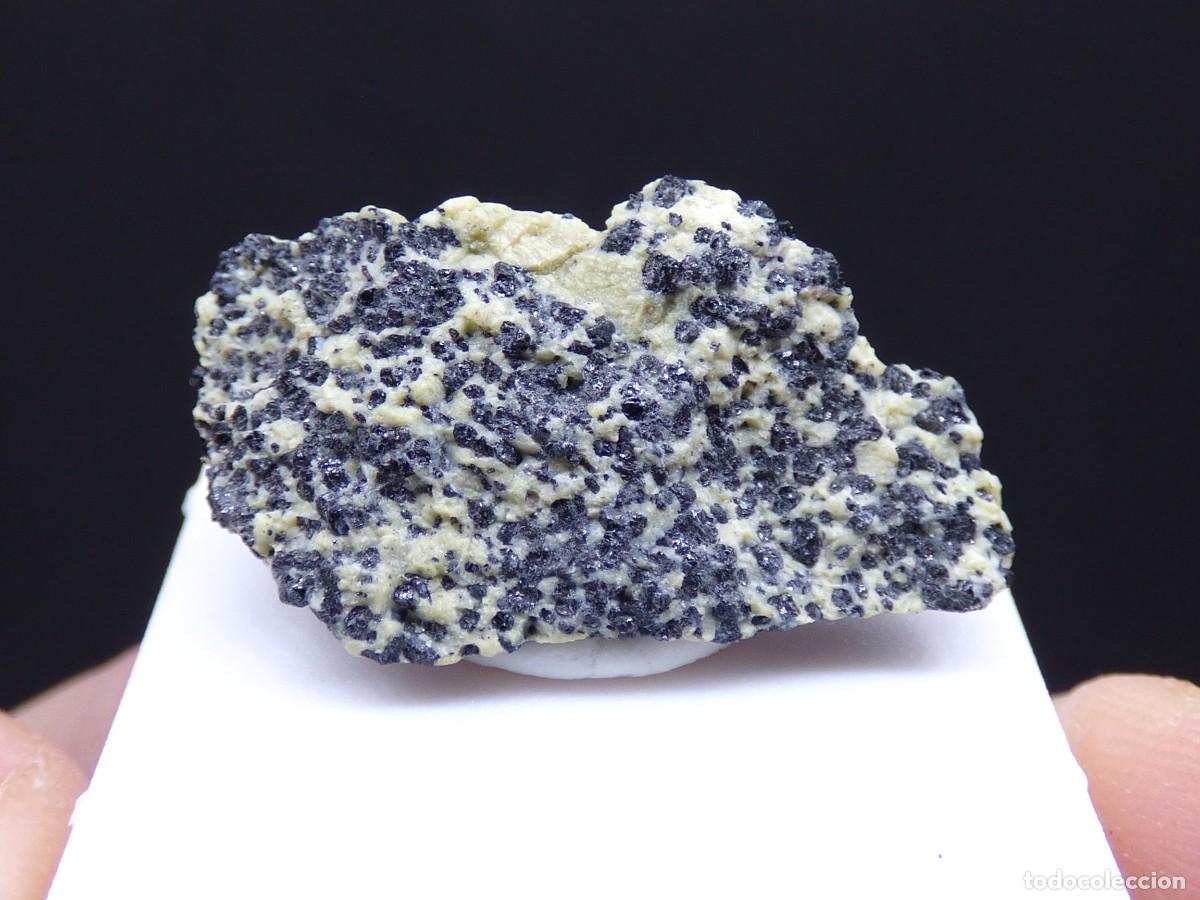 Coleccionismo de minerales: ✅FDMINERALS✅ ⚒️ CROMITA EN SERPENTINA ⚒️ Dep&oacute;sito de Cromita, Tomarza, Kayseri, Turqu&iacute;a - er125