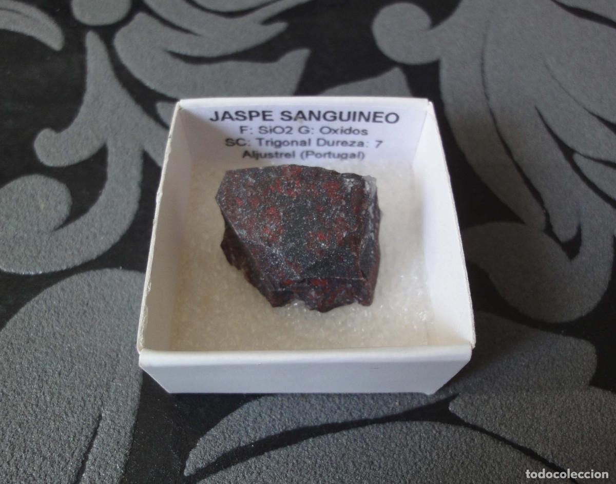 Coleccionismo de minerales: MINERAL JASPE SANGUINEO MINERALES EN CAJA 4X4 CM