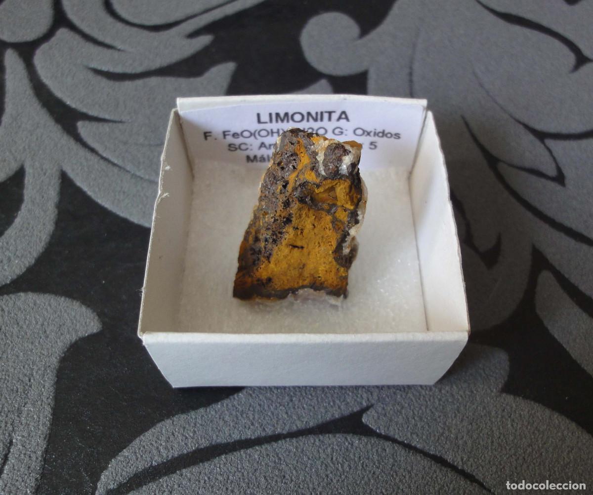 Coleccionismo de minerales: MINERAL LIMONITA MINERALES EN CAJA 4X4 CM