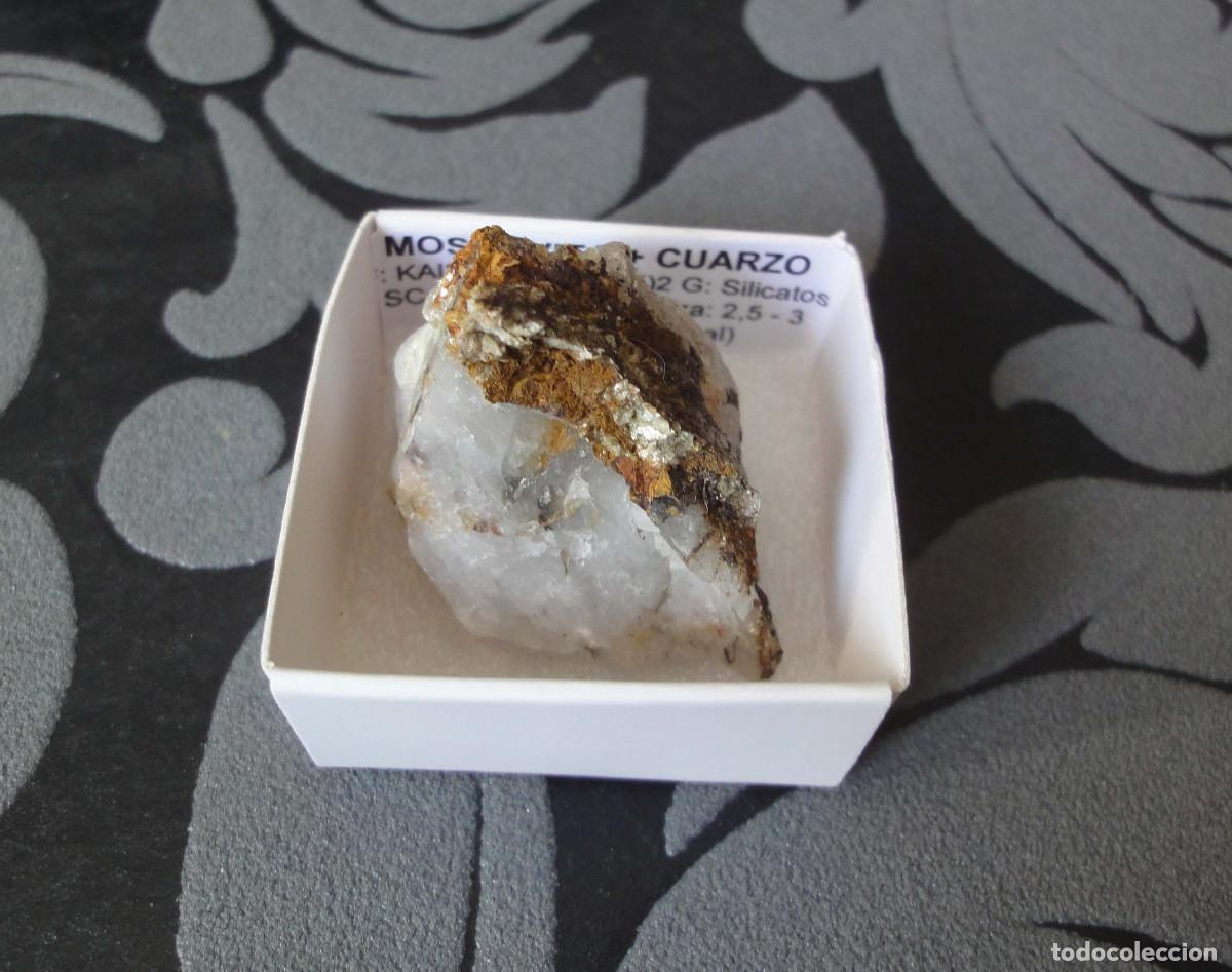 Coleccionismo de minerales: MINERAL MOSCOVITA EN CUARZO MINERALES EN CAJA 4X4 CM