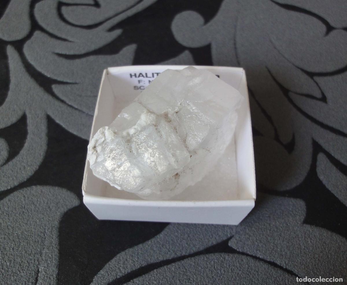Coleccionismo de minerales: MINERAL SAL GEMA MINERALES EN CAJA 4X4 CM