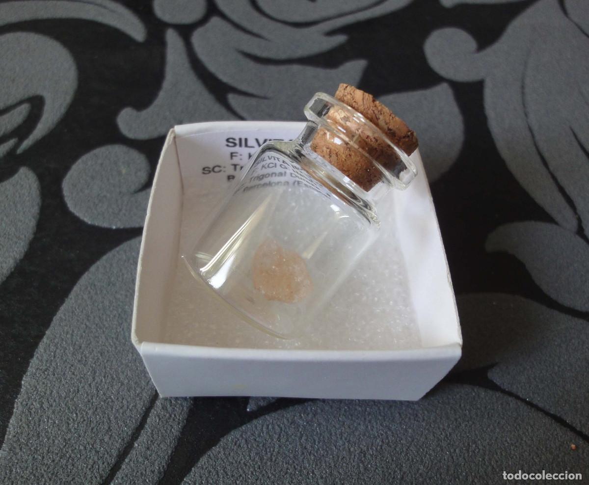 Coleccionismo de minerales: MINERAL SILVINA MINERALES EN CAJA 4X4 CM