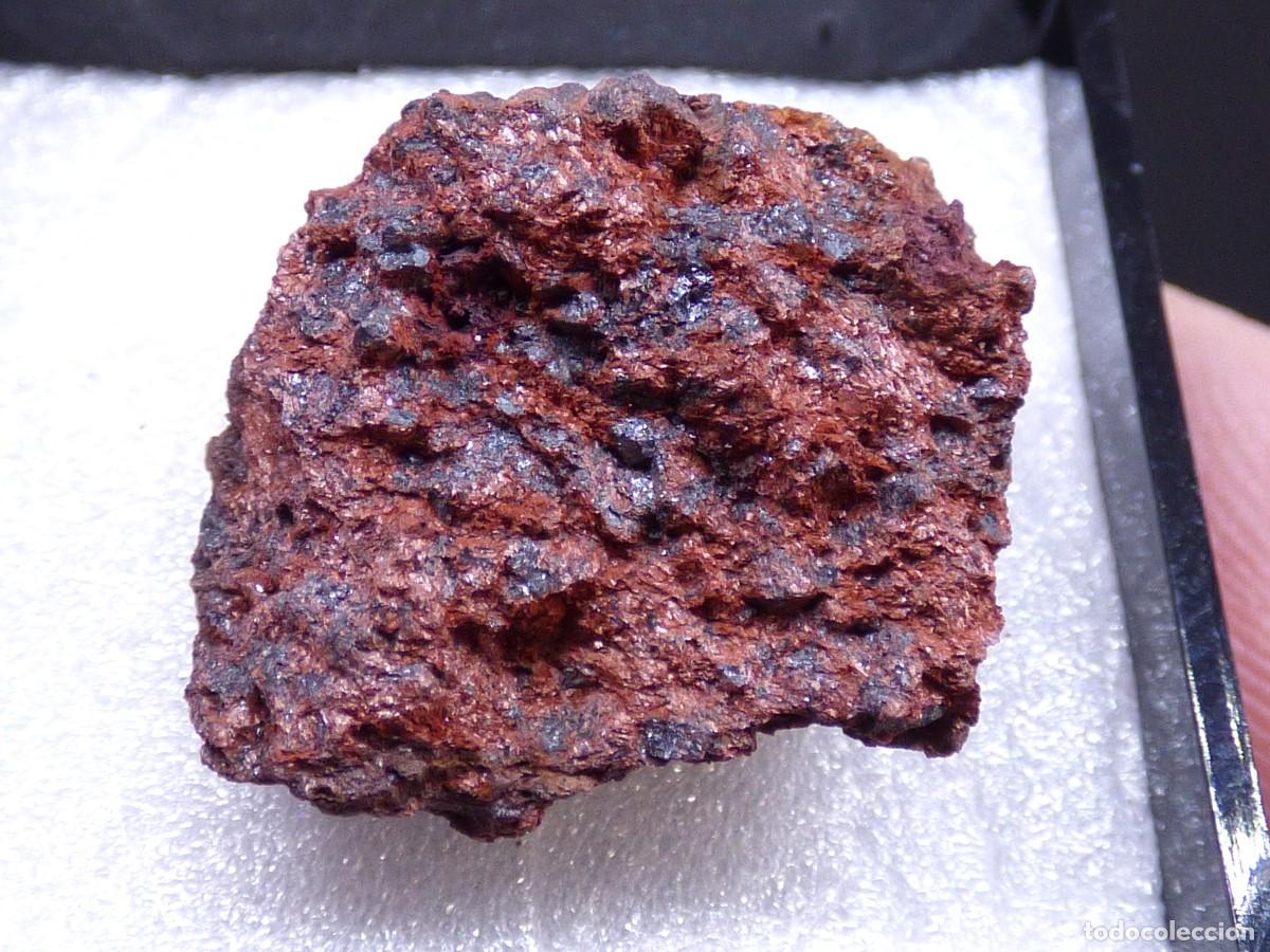 Coleccionismo de minerales: ✅FDMINERALS✅ ⚒️ COULSONITA ⚒️ Bihar, India - er140