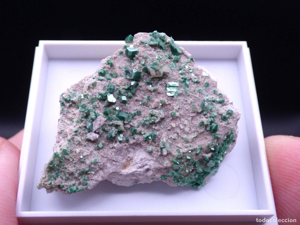 Coleccionismo de minerales: ✅FDMINERALS✅ ⚒️ METATORBERNITA SOBRE CUARZO ⚒️ Calo, Vimianzo, A Coru&ntilde;a, Galicia, Espa&ntilde;a - er167