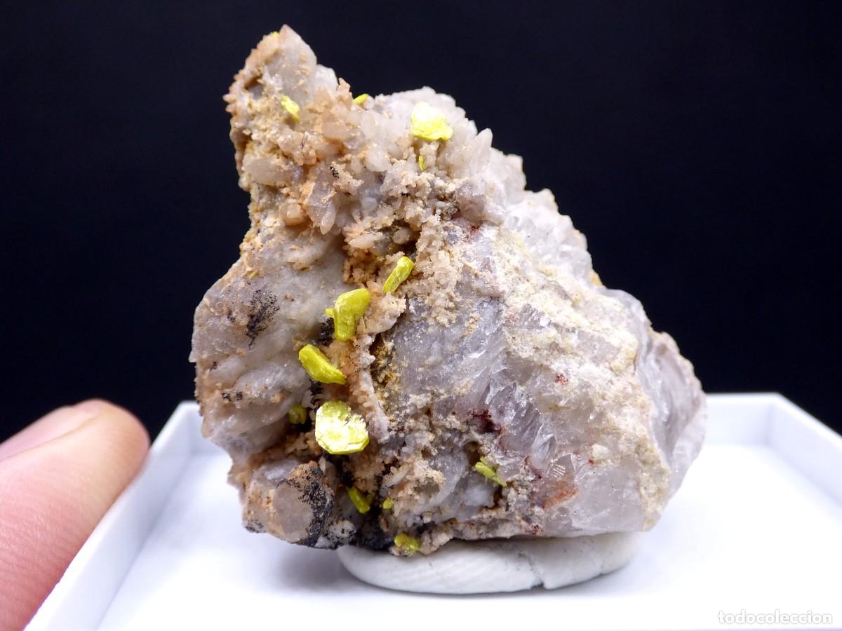 Coleccionismo de minerales: ✅FDMINERALS✅ ⚒️ AUTUNITA EN CUARZO ⚒️ Mina Assun&ccedil;ao, Portugal - er169